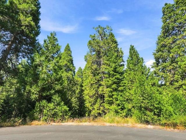 Land for sale in Shaver Lake, California