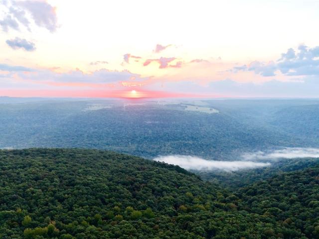 Land for sale in Ryker, Newton County