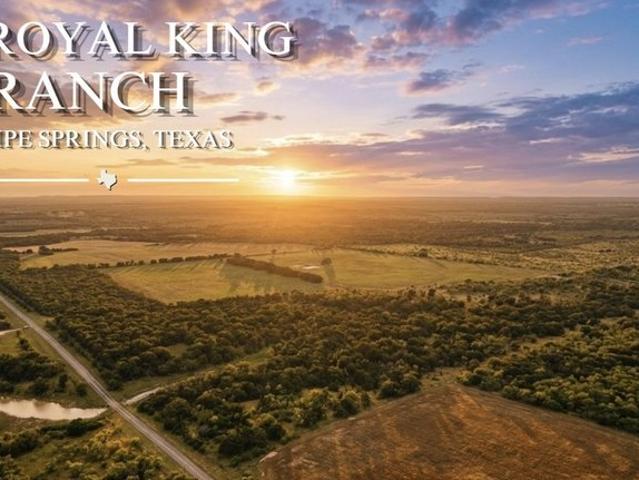 Land for sale in Comanche, Texas