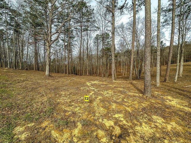 Land for sale in Laurel, Kentucky