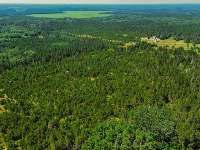 House for sale in Wadena, Minnesota