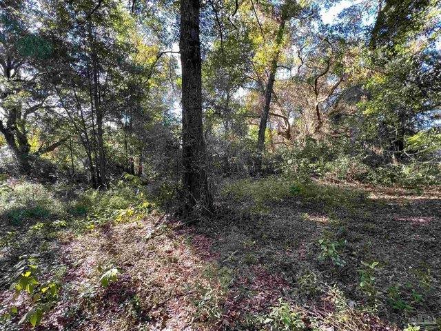 Land for sale in Pace, Florida