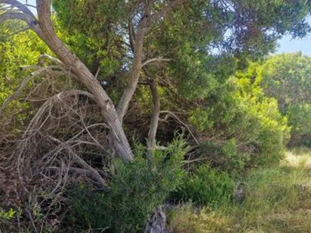 Land for sale in Western Cape