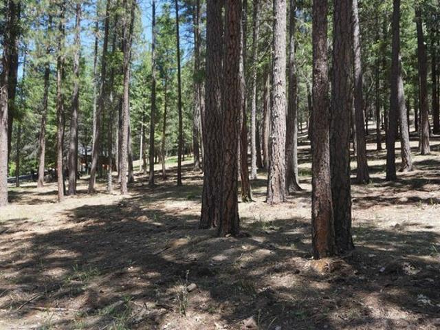 Land for sale in Quincy, California