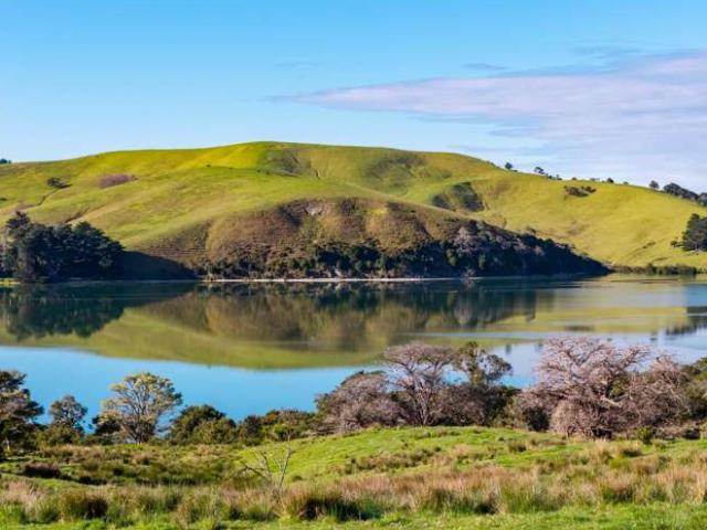 Property for sale in Pahi, Northland