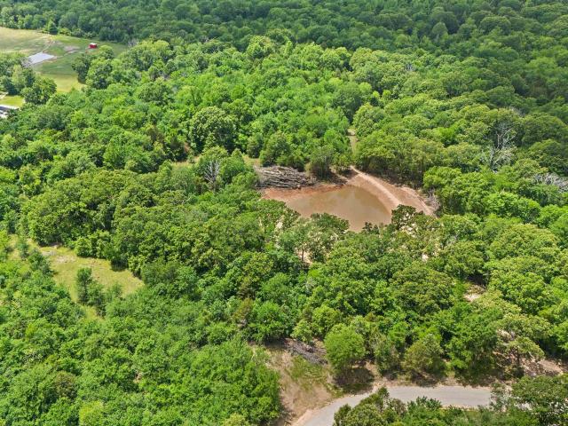 Land for sale in Van, Texas