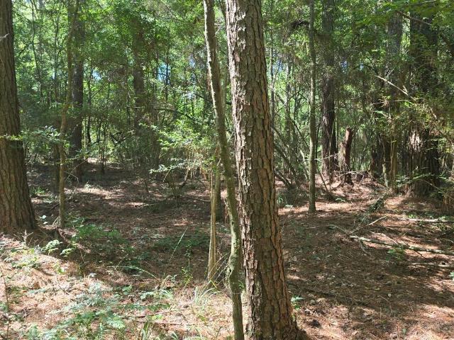 Land for sale in Mount Olive, Mississippi