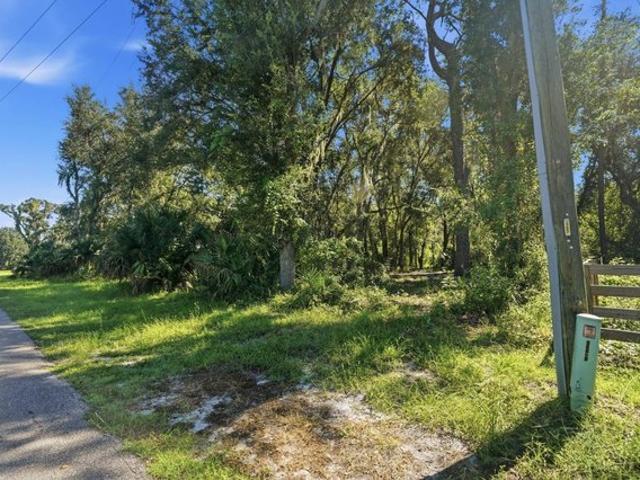 Land for sale in Lake Panasoffkee, Florida