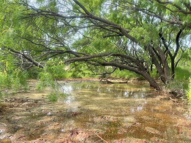 Land for sale in Rotan