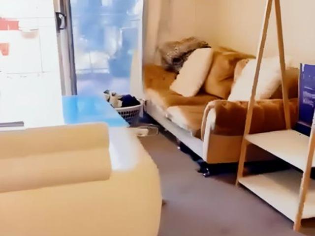 Apartment for rent in Sydney, New South Wales