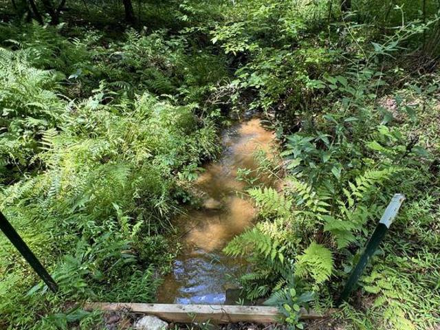 Land for sale in Virginia