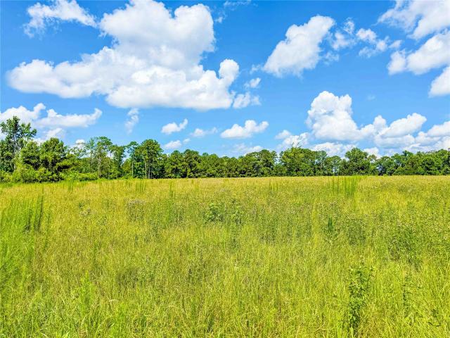 Land for sale in Jasper, Texas