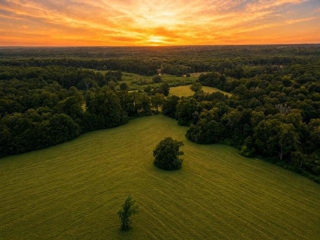 Land for sale in Jasper, Texas