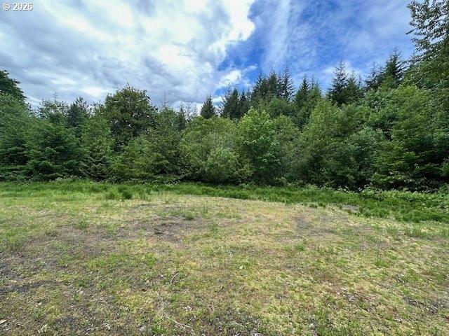 Land for sale in Kalama, Washington