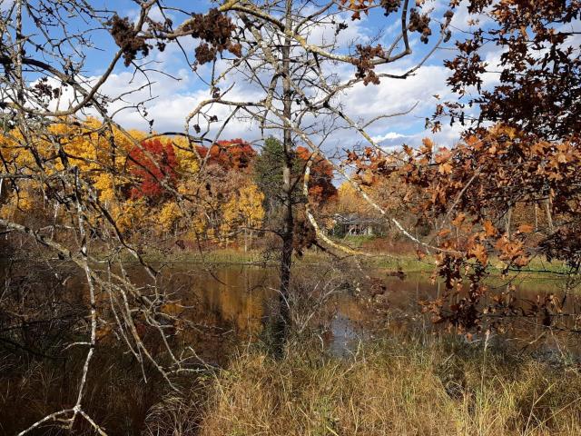 Land for sale in Todd, Minnesota