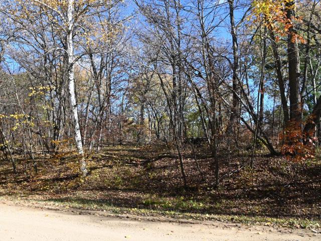 Land for sale in Todd, Minnesota