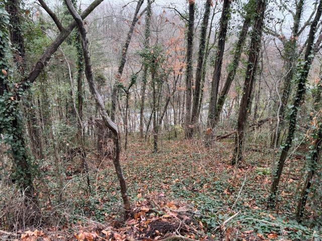Land for sale in Tennessee