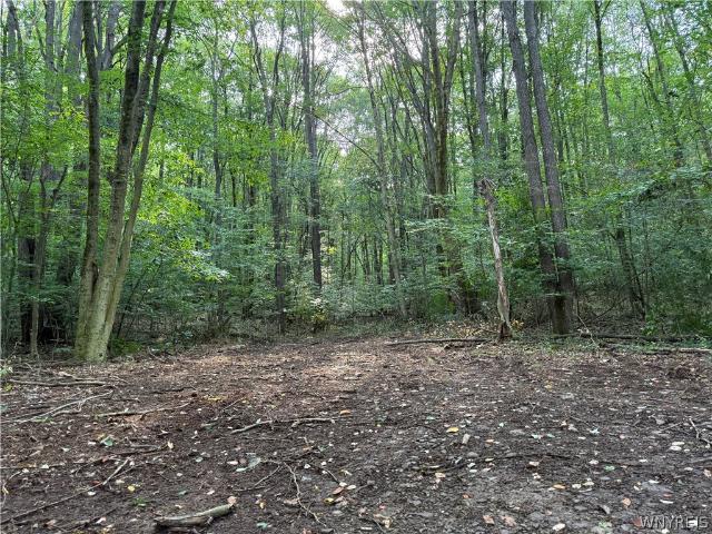 Land for sale in Town of Great Valley, Cattaraugus County