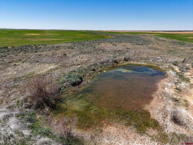 Land for sale in Dove Creek, Colorado
