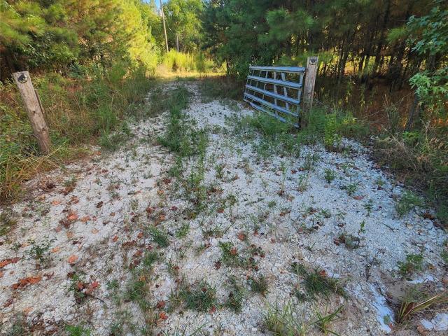 Land for sale in Kennard, Texas