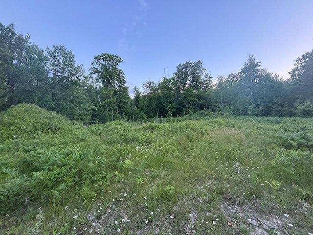 Land for sale in Hubbard, Minnesota