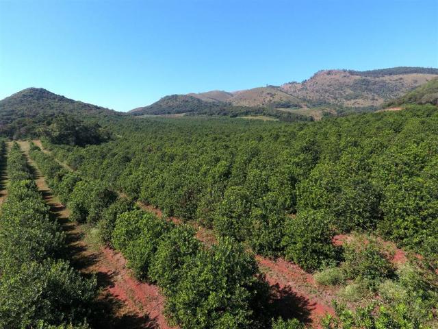 Farm for sale in Ehlanzeni, Mpumalanga