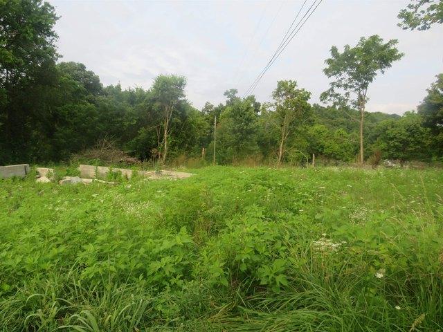 Land for sale in Olive Hill, Kentucky