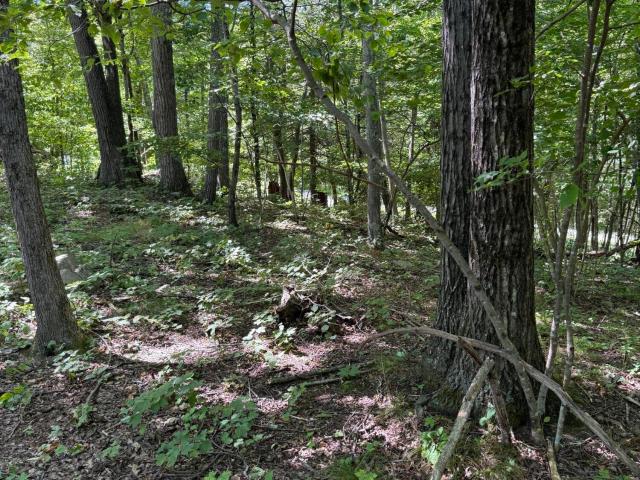 Land for sale in Connelly, New York