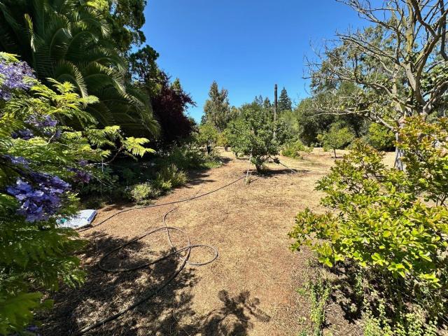 House for sale in Los Altos