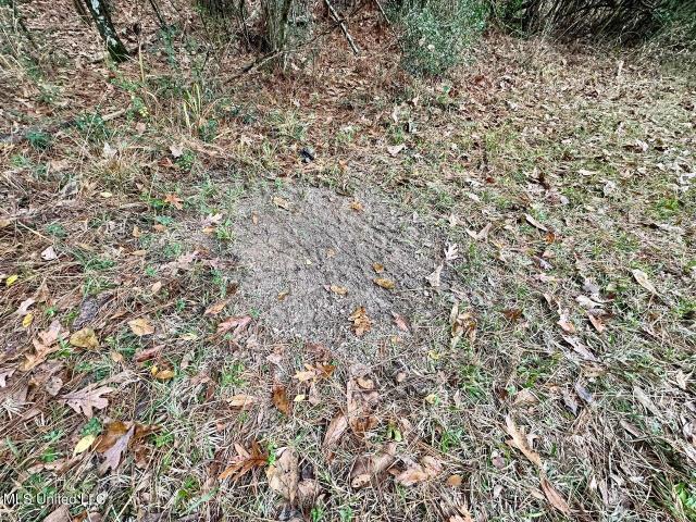 House for sale in Magee, Mississippi