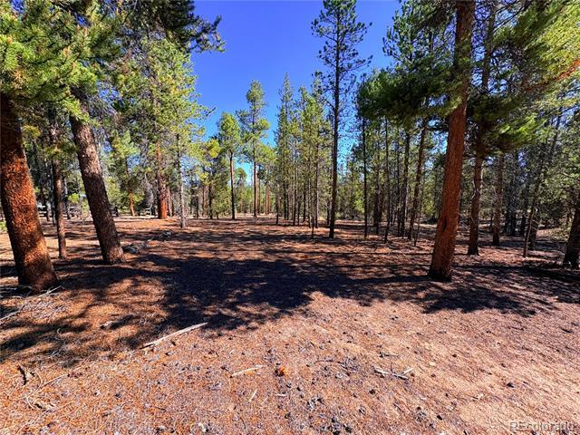 Land for sale in Leadville, Lake County