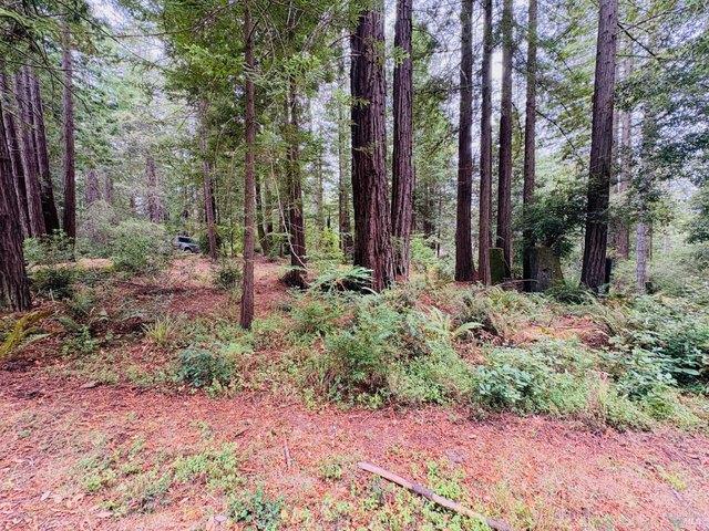 Land for sale in Sea Ranch, Sonoma County