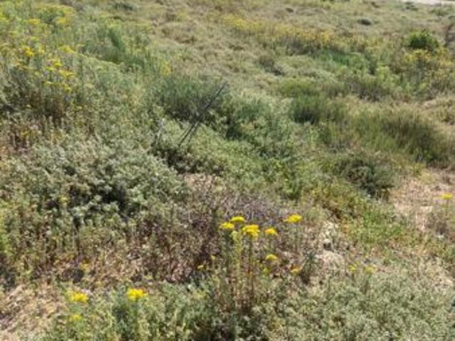 Land for sale in Western Cape
