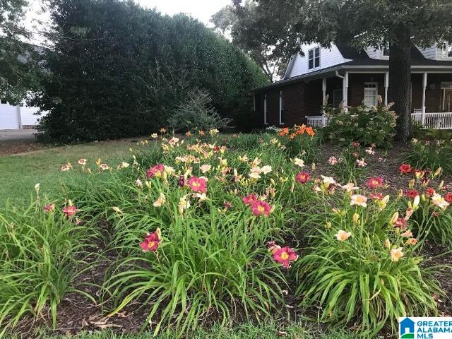 House for sale in Springville, Alabama