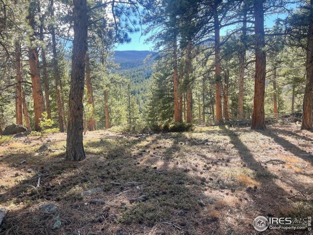 Land for sale in Allenspark, Colorado