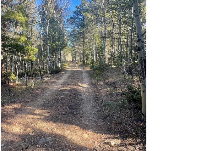 Land for sale in Allenspark, Boulder County