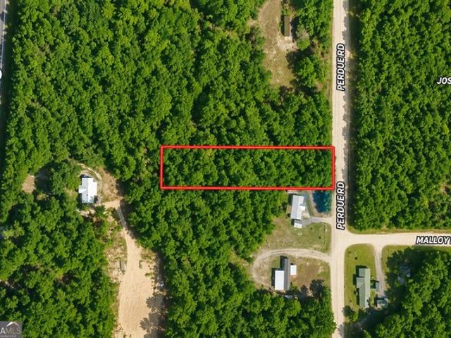 Land for sale in Walton, Florida