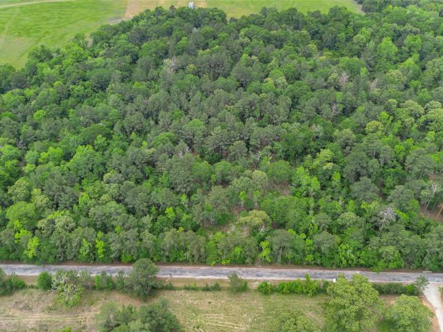 Land for sale in Richards, Walker County
