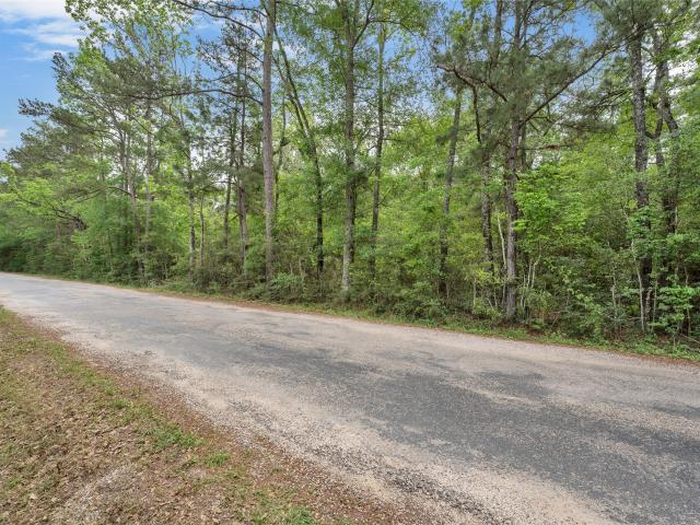 Land for sale in Walker, Texas