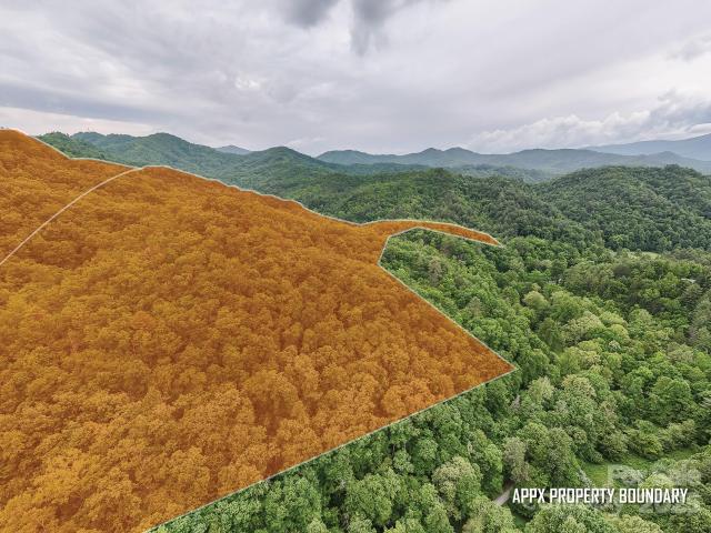 Land for sale in Graham, North Carolina
