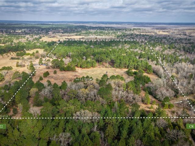 Land for sale in Centerville, Leon County
