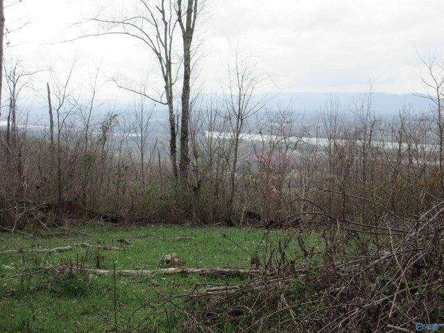 Land for sale in Stevenson, Alabama