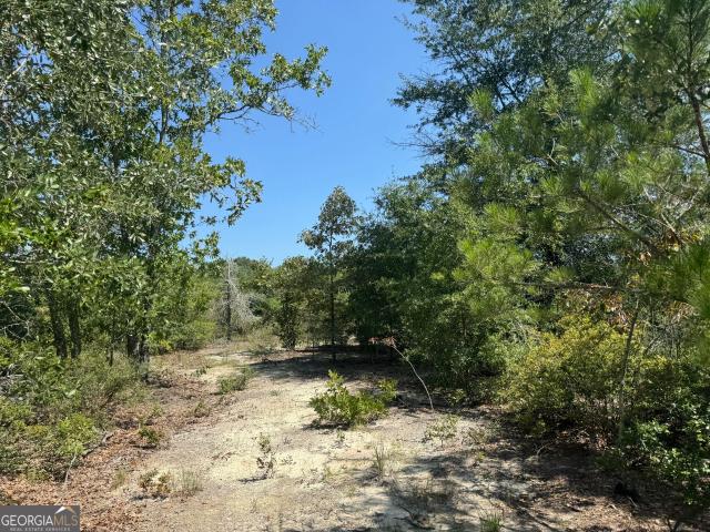 Land for sale in Buena Vista, Georgia