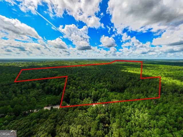 Land for sale in Gibson, Georgia