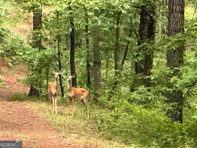Land for sale in Gibson, Georgia
