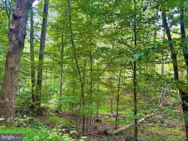 Land for sale in Virginia