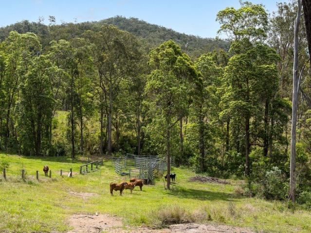 Land for sale in Toombul, Queensland