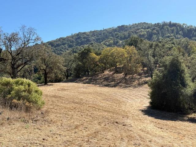 Land for sale in Carmel-by-the-Sea, Monterey County