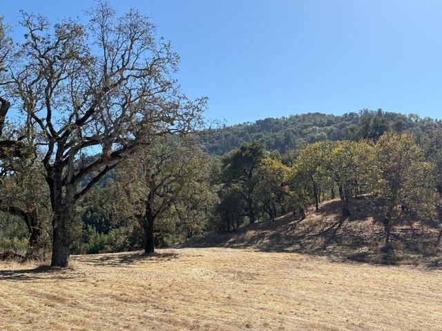 Land for sale in Carmel-by-the-Sea, Monterey County