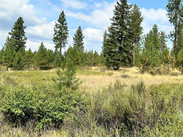 Land for sale in Sanders, Montana